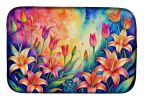 Lilies in Color Dish Drying Mat Absorbent Dish Drying Mat Pad for Kitchen Counter Dish Drainer Mat for Countertop, 14 x 21", Multicolor